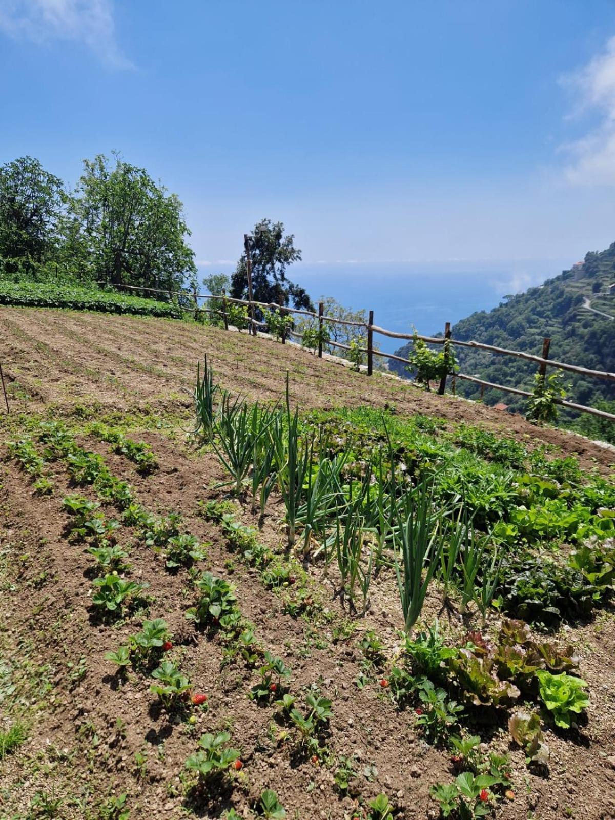 Agriturismo Orrido di Pino Agerola Exterior foto