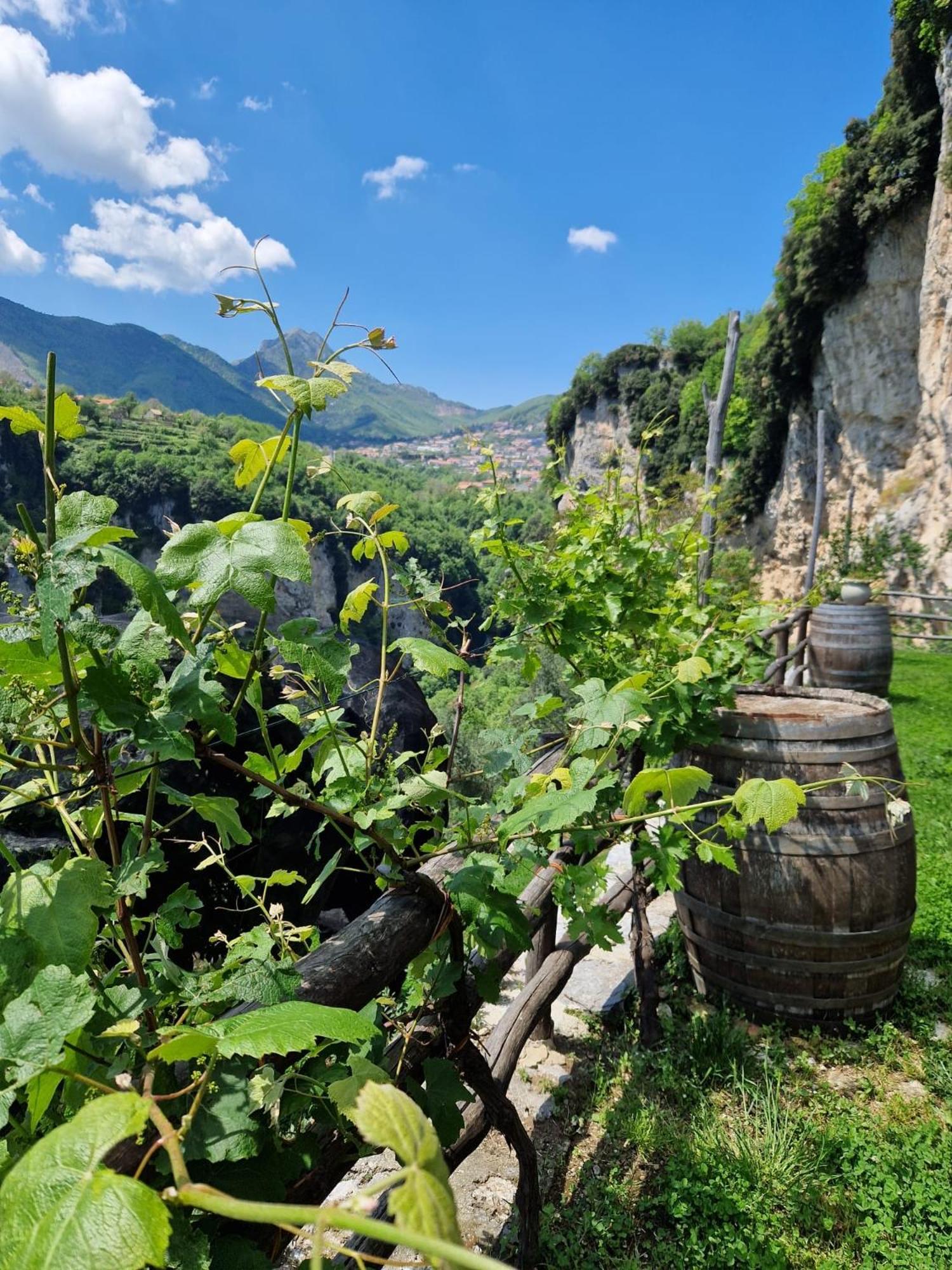 Agriturismo Orrido di Pino Agerola Exterior foto