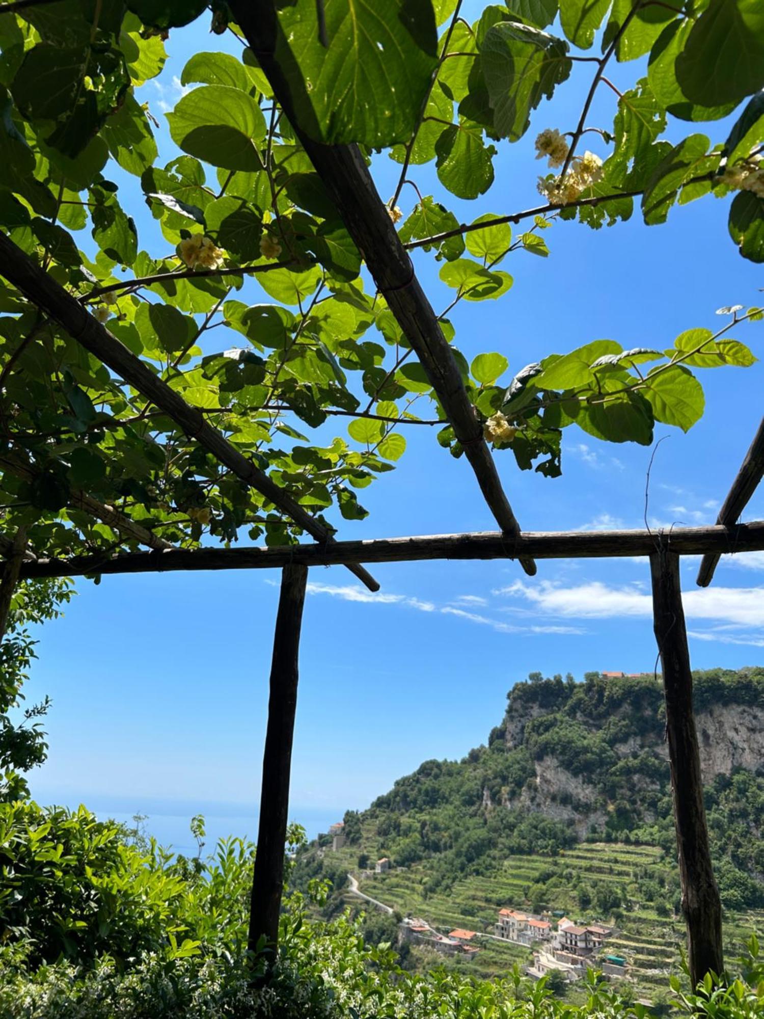 Agriturismo Orrido di Pino Agerola Exterior foto