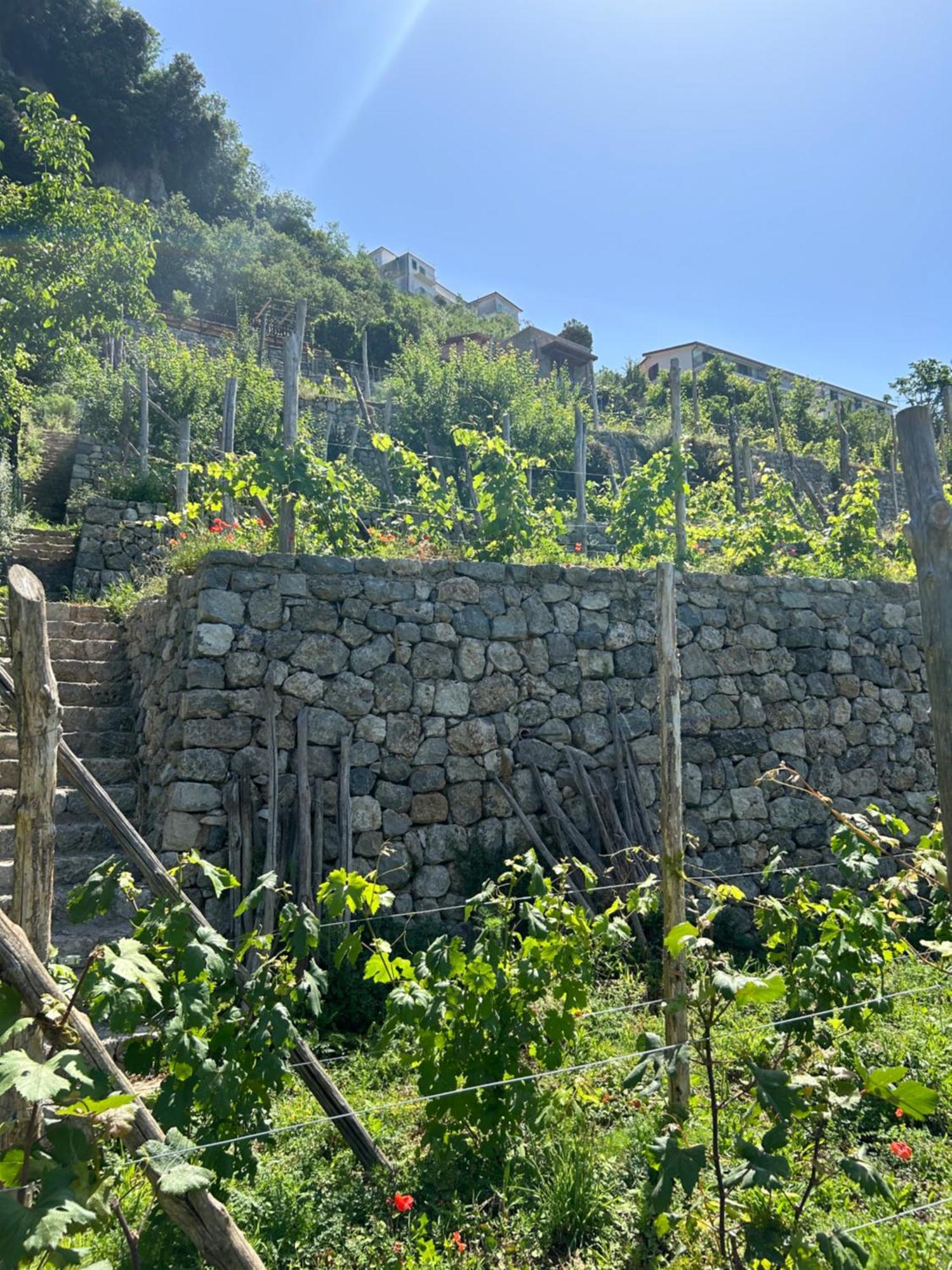 Agriturismo Orrido di Pino Agerola Exterior foto